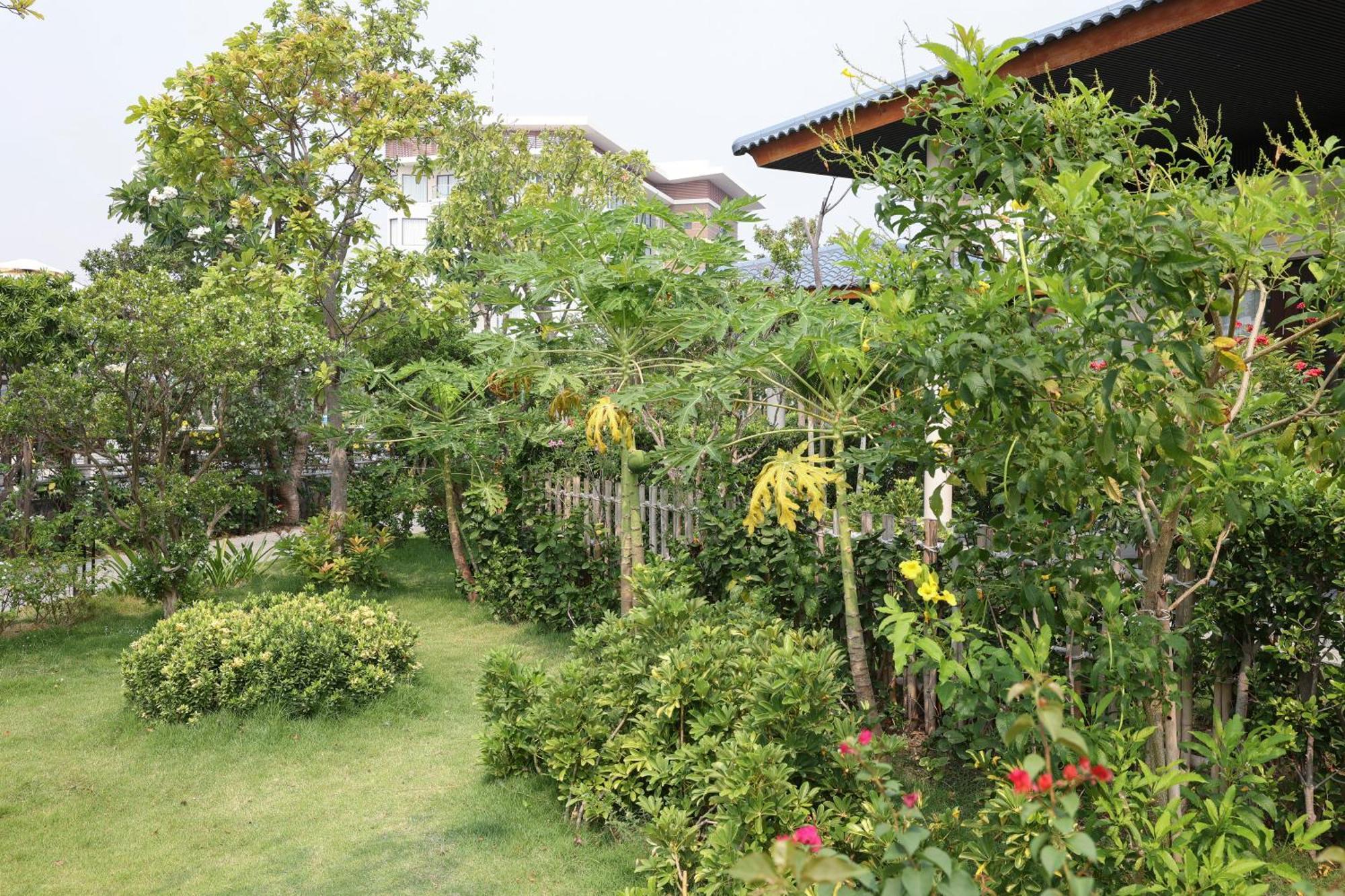 Hoan My Resort - Ninh Chu Фанранґ Екстер'єр фото